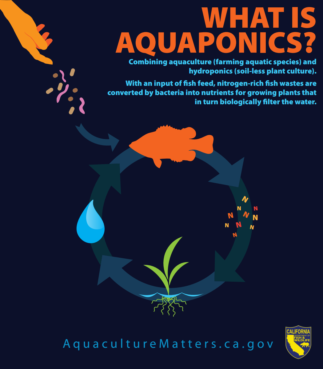 Aquaculture Matters Aquaponics Infographic | Aquaculture ...
